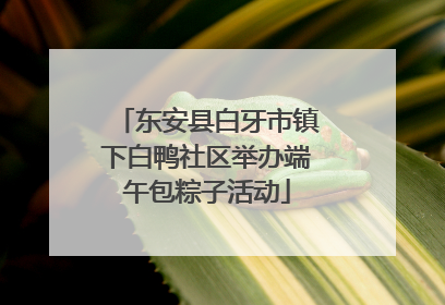 东安县白牙市镇下白鸭社区举办端午包粽子活动