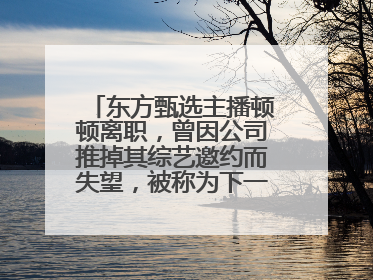 东方甄选主播顿顿离职，曾因公司推掉其综艺邀约而失望，被称为下一个董宇辉