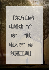 东方白鹳电塔建“产房” “陕电入皖”架线延工期