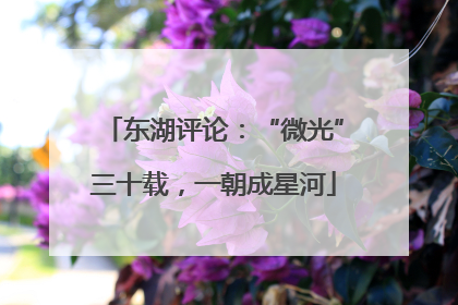 东湖评论：“微光”三十载，一朝成星河