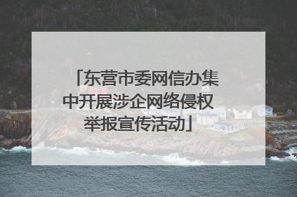 东营市委网信办集中开展涉企网络侵权举报宣传活动