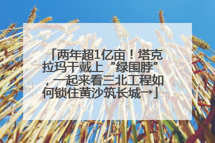 两年超1亿亩！塔克拉玛干戴上“绿围脖”，一起来看三北工程如何锁住黄沙筑长城→