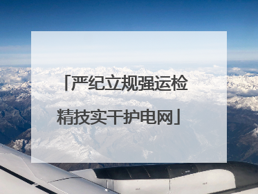 严纪立规强运检 精技实干护电网