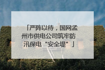 严阵以待，国网孟州市供电公司筑牢防汛保电“安全堤”