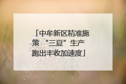 中牟新区精准施策 “三夏”生产跑出丰收加速度