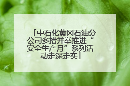 中石化黄冈石油分公司多措并举推进“安全生产月”系列活动走深走实