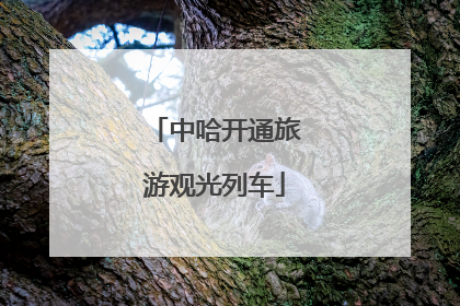 中哈开通旅游观光列车