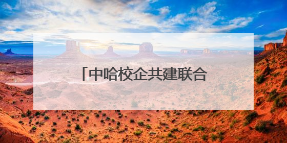 中哈校企共建联合实验室成就丝绸之路的“数字联姻”