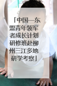 中国—东盟青年领军者成长计划研修班赴柳州三江多地研学考察