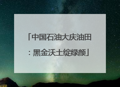 中国石油大庆油田：黑金沃土绽绿颜