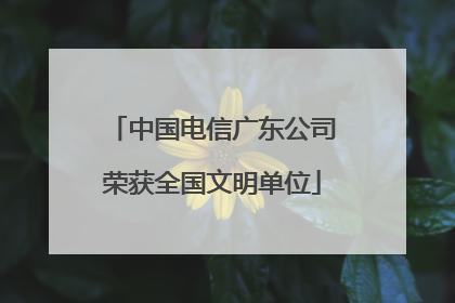 中国电信广东公司荣获全国文明单位