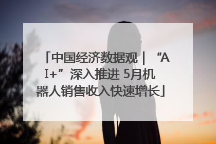 中国经济数据观｜“AI+”深入推进 5月机器人销售收入快速增长