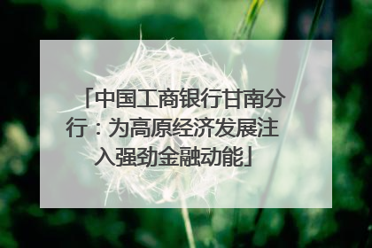 中国工商银行甘南分行：为高原经济发展注入强劲金融动能