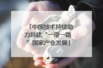 中国技术持续助力共建“一带一路”国家产业发展