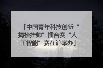 中国青年科技创新“揭榜挂帅”擂台赛“人工智能”赛在沪举办