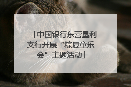中国银行东营垦利支行开展“粽夏童乐会”主题活动
