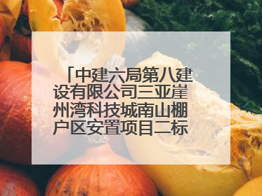 中建六局第八建设有限公司三亚崖州湾科技城南山棚户区安置项目二标段顺利通过第一次主体结构验收