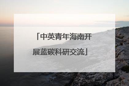中英青年海南开展蓝碳科研交流