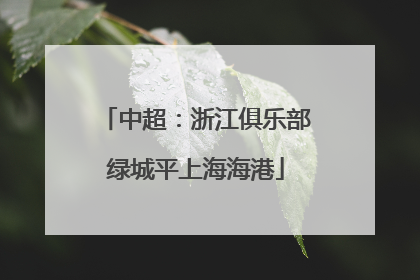 中超：浙江俱乐部绿城平上海海港