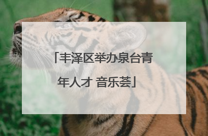 丰泽区举办泉台青年人才 音乐荟