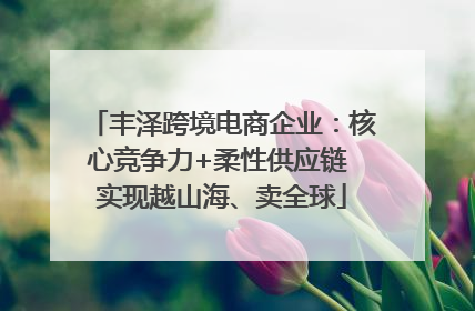 丰泽跨境电商企业：核心竞争力+柔性供应链 实现越山海、卖全球