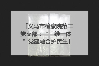 义马市检察院第二党支部：“三维一体”党建融合护民生