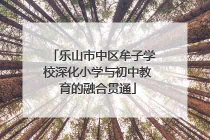 乐山市中区牟子学校深化小学与初中教育的融合贯通