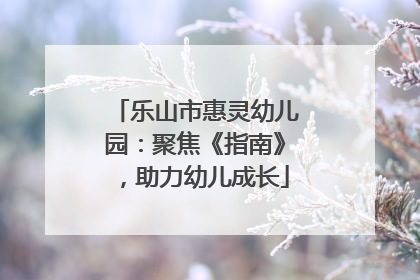 乐山市惠灵幼儿园：聚焦《指南》，助力幼儿成长