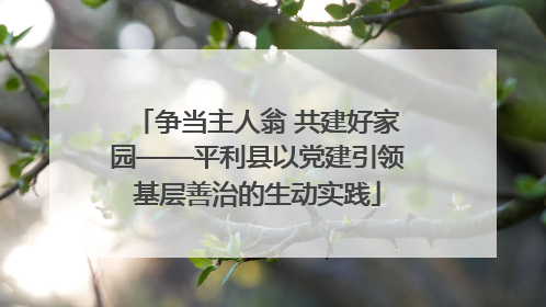 争当主人翁 共建好家园——平利县以党建引领基层善治的生动实践