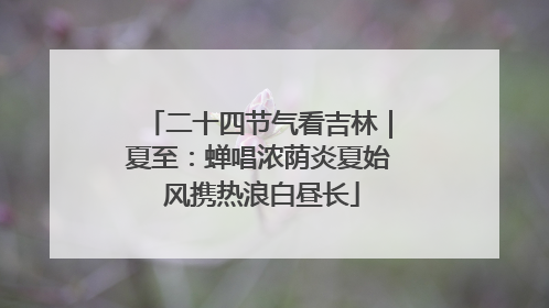 二十四节气看吉林｜夏至：蝉唱浓荫炎夏始 风携热浪白昼长