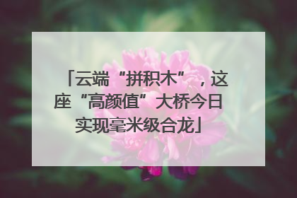 云端“拼积木”，这座“高颜值”大桥今日实现毫米级合龙