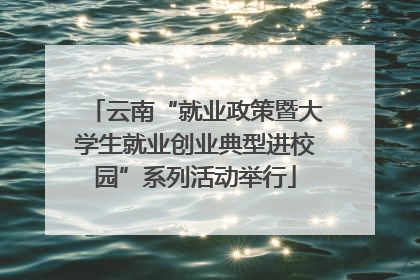 云南“就业政策暨大学生就业创业典型进校园”系列活动举行