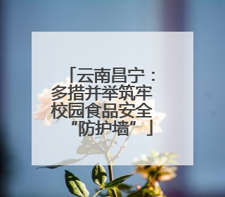 云南昌宁：多措并举筑牢校园食品安全“防护墙”