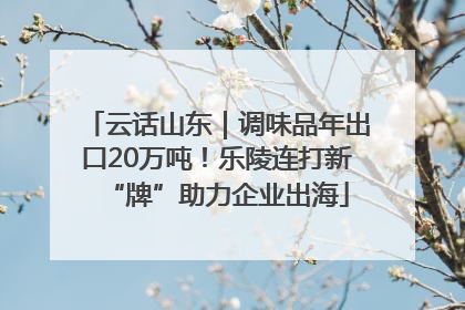 云话山东｜调味品年出口20万吨！乐陵连打新“牌”助力企业出海