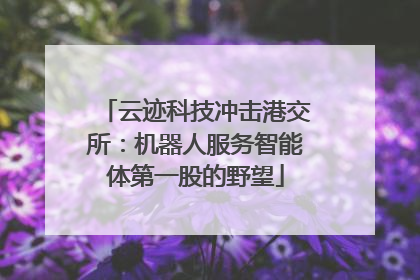 云迹科技冲击港交所：机器人服务智能体第一股的野望