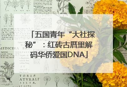 五国青年“大社探秘”：红砖古厝里解码华侨爱国DNA