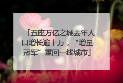 五座万亿之城去年人口增长逾十万，“增量冠军”重回一线城市