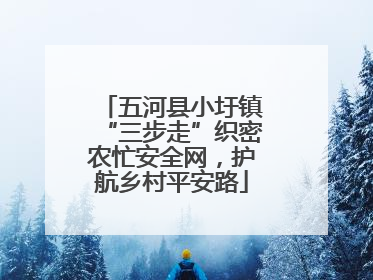 五河县小圩镇“三步走”织密农忙安全网，护航乡村平安路