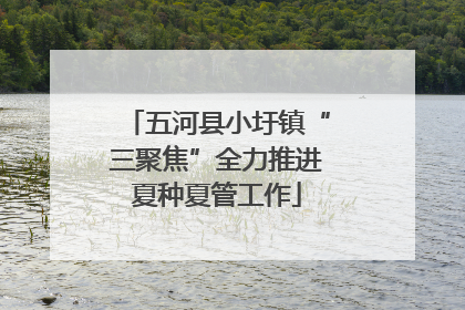 五河县小圩镇“三聚焦”全力推进夏种夏管工作
