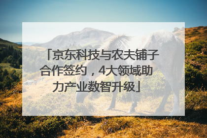 京东科技与农夫铺子合作签约，4大领域助力产业数智升级