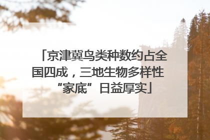 京津冀鸟类种数约占全国四成，三地生物多样性“家底”日益厚实