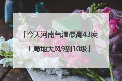 今天河南气温最高43度！局地大风9到10级