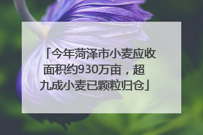 今年菏泽市小麦应收面积约930万亩，超九成小麦已颗粒归仓