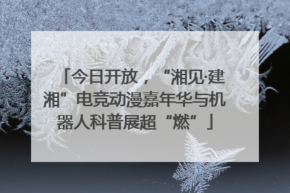 今日开放，“湘见·建湘”电竞动漫嘉年华与机器人科普展超“燃”