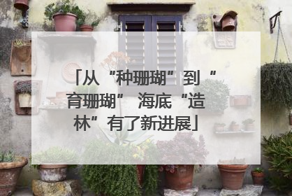 从“种珊瑚”到“育珊瑚” 海底“造林”有了新进展