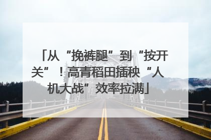 从“挽裤腿”到“按开关”！高青稻田插秧“人机大战”效率拉满