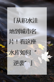 从积水洼地到城市名片！看这座水库如何“逆袭”