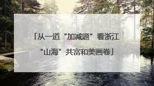 从一道“加减题”看浙江“山海”共富和美画卷