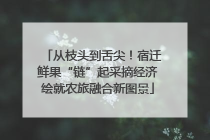 从枝头到舌尖！宿迁鲜果“链”起采摘经济绘就农旅融合新图景