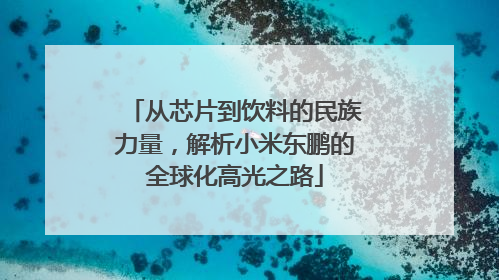 从芯片到饮料的民族力量，解析小米东鹏的全球化高光之路